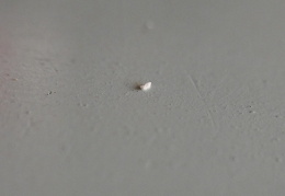 L1050145