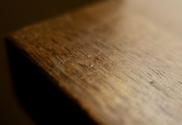 L1050156